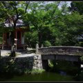 Kyoto_060805_31 